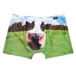 JBS Evolution 729 38 20  Tights. Kalsong i boxermodell. Microfibrer med bomullsfodrad gren.

